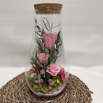 Terrarium en forma de botella - Imagen 2