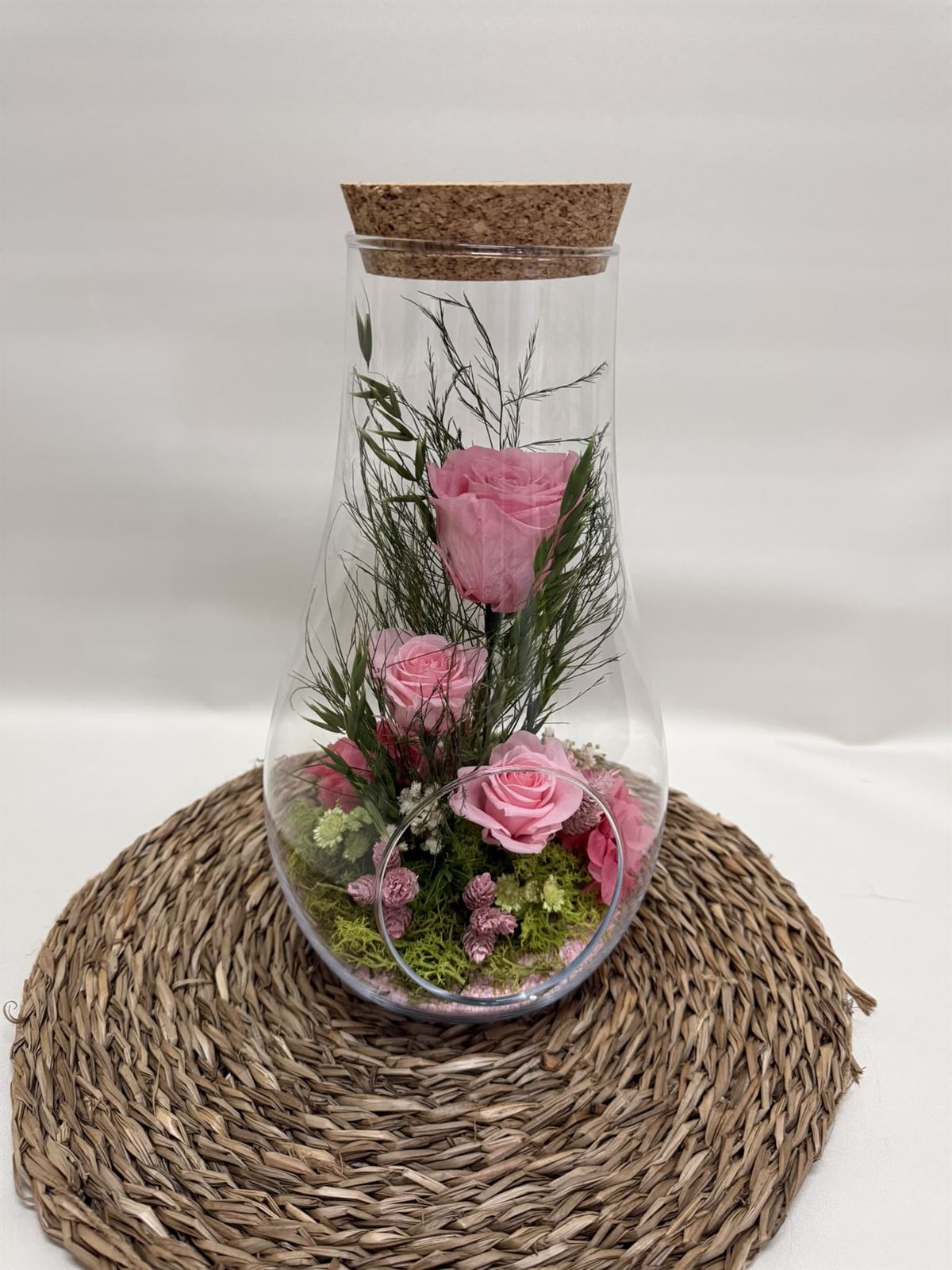 Terrarium en forma de botella - Imagen 3