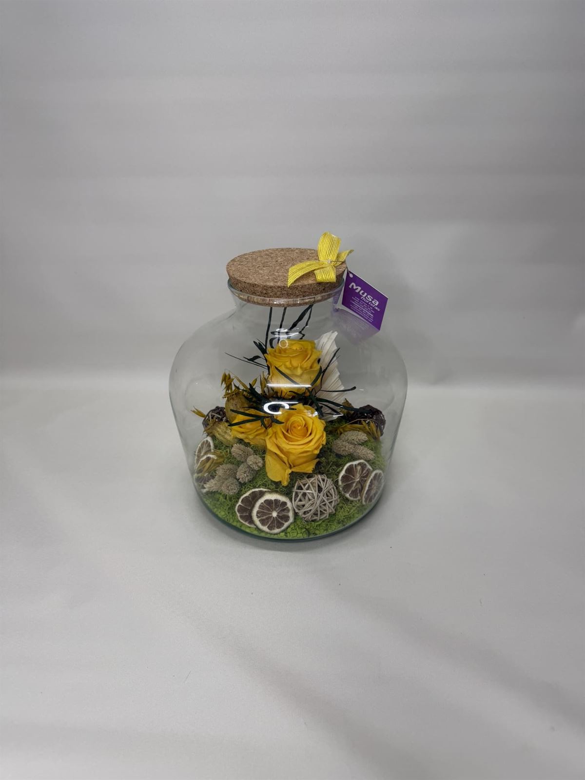 Terrarium en tono amarillos - Imagen 1