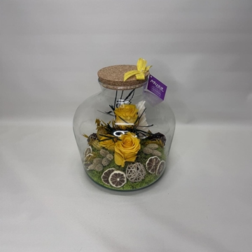 Terrarium en tono amarillos - Imagen 1