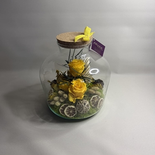 Terrarium en tono amarillos - Imagen 2