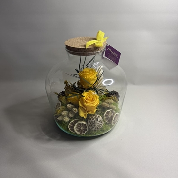 Terrarium en tono amarillos - Imagen 2