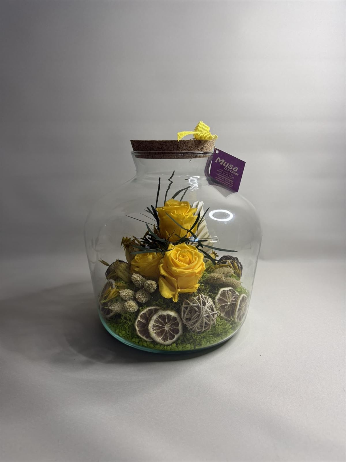 Terrarium en tono amarillos - Imagen 3