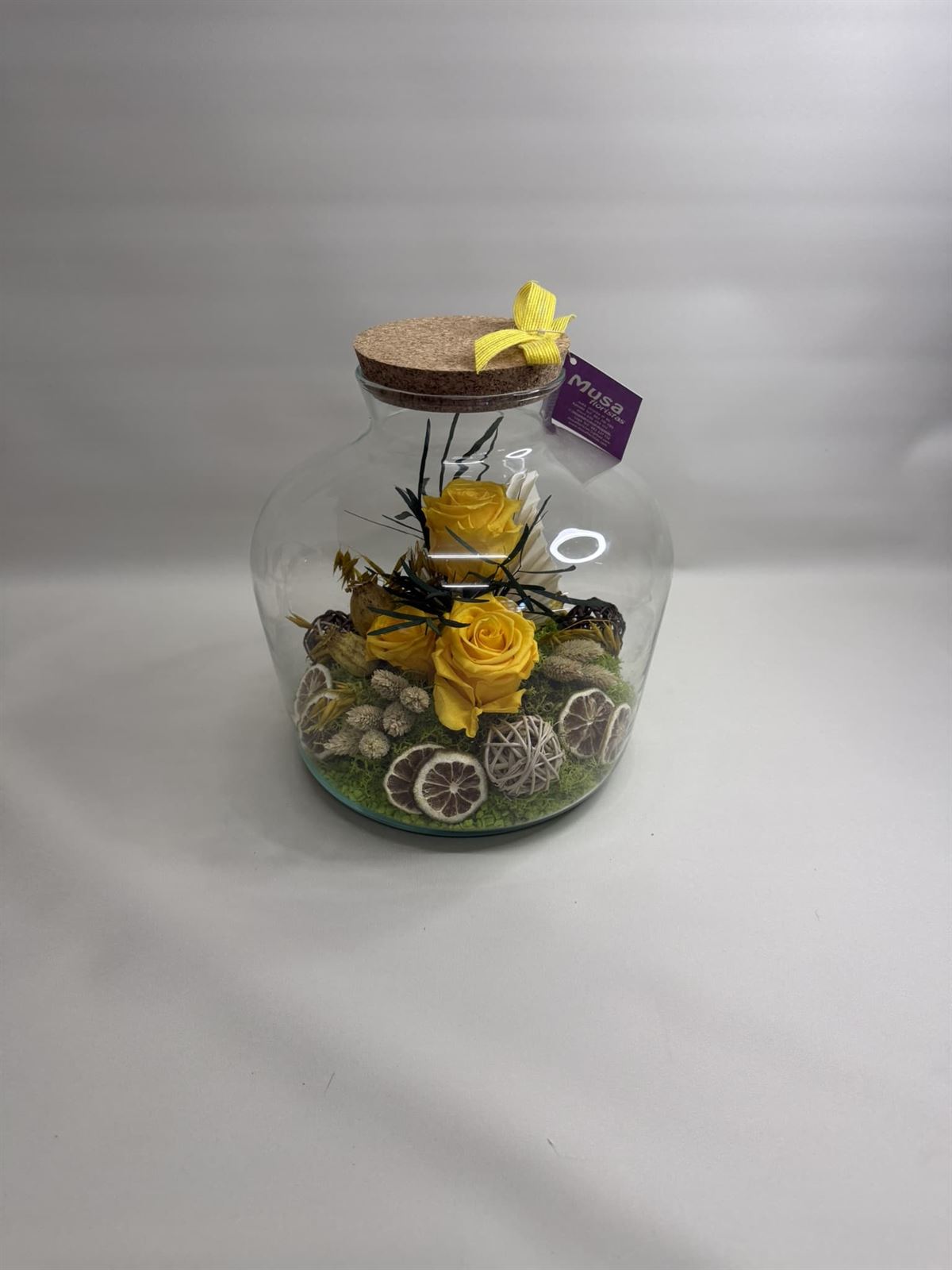 Terrarium en tono amarillos - Imagen 4