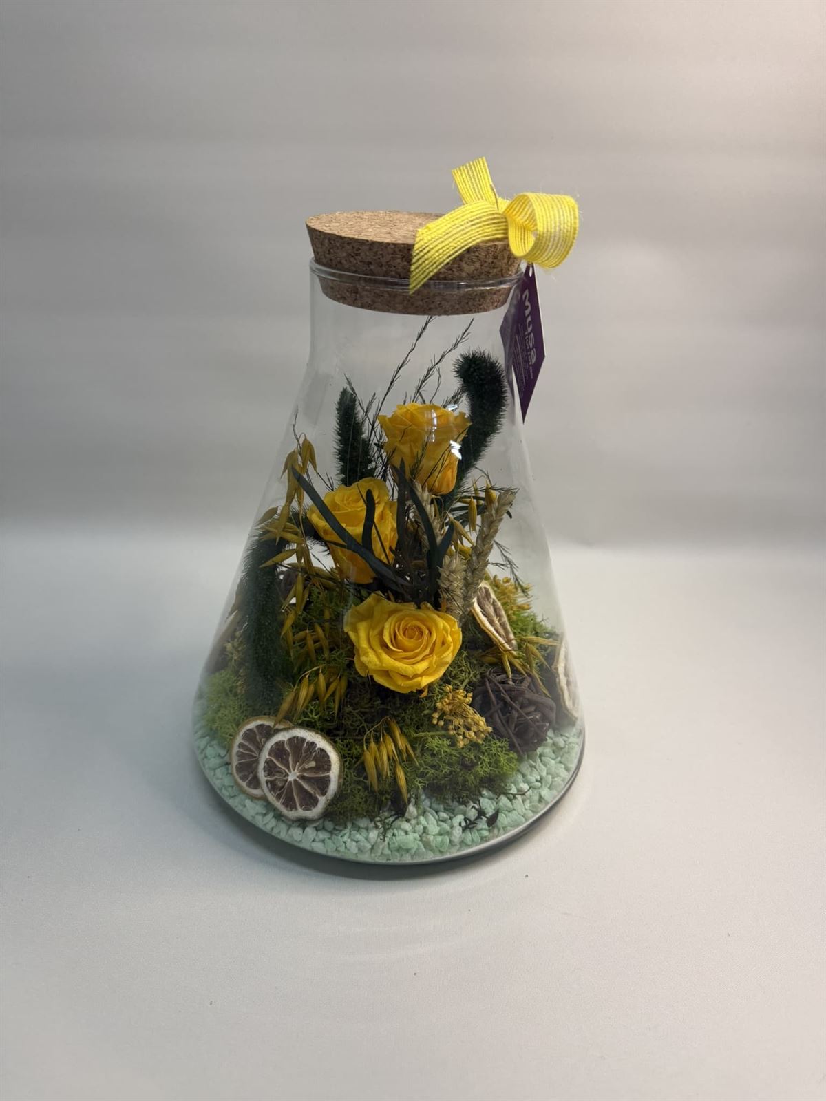 Terrarium en tono amarillos - Imagen 1