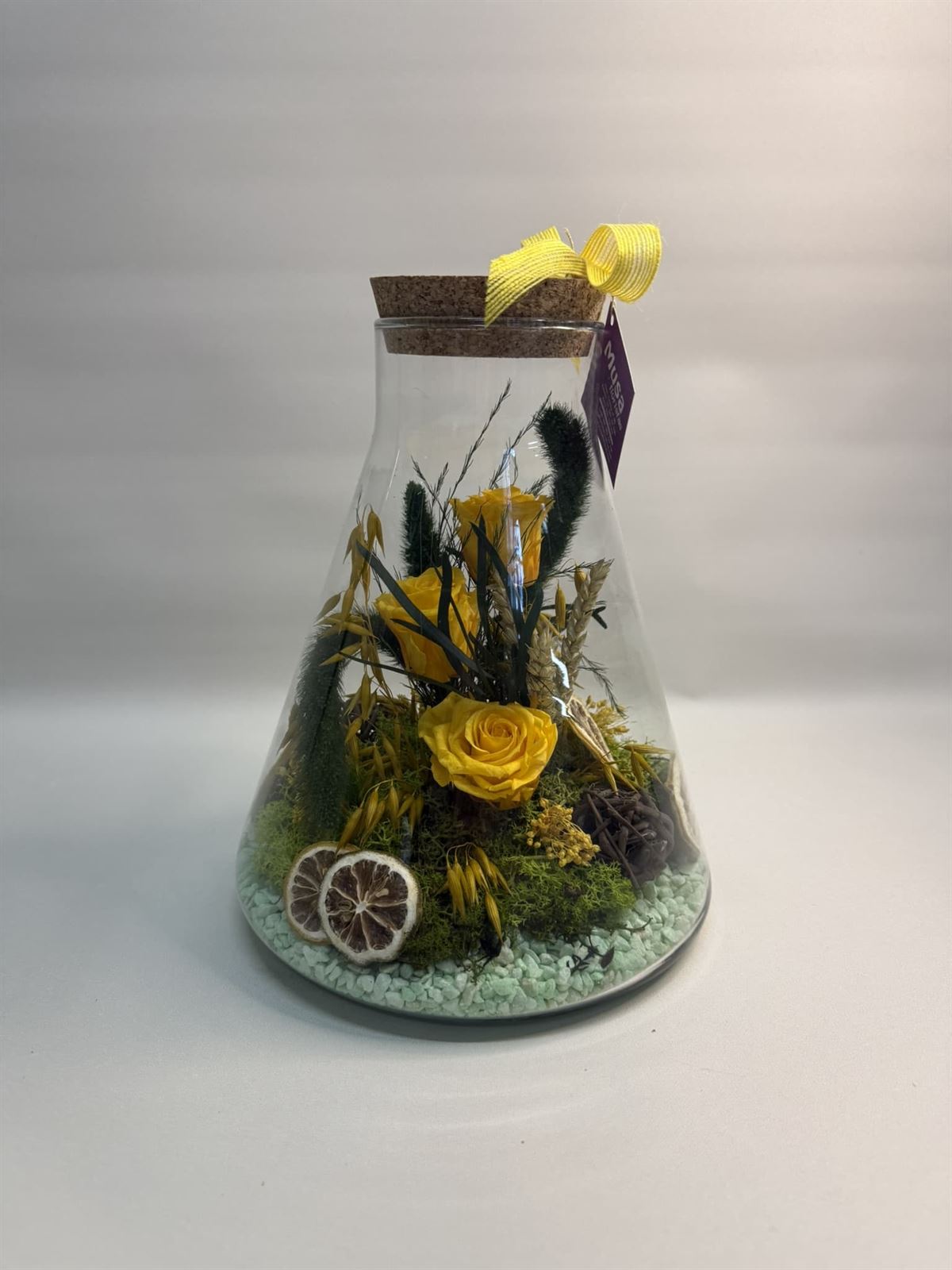 Terrarium en tono amarillos - Imagen 2