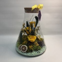 Terrarium en tono amarillos - Imagen 2