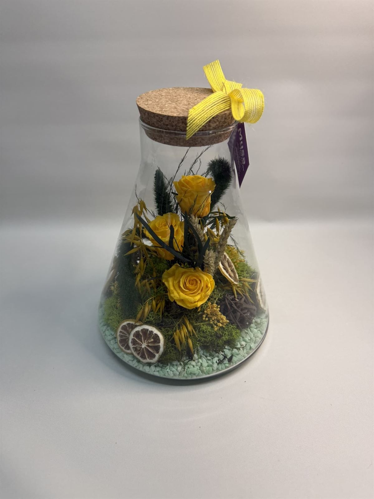 Terrarium en tono amarillos - Imagen 3