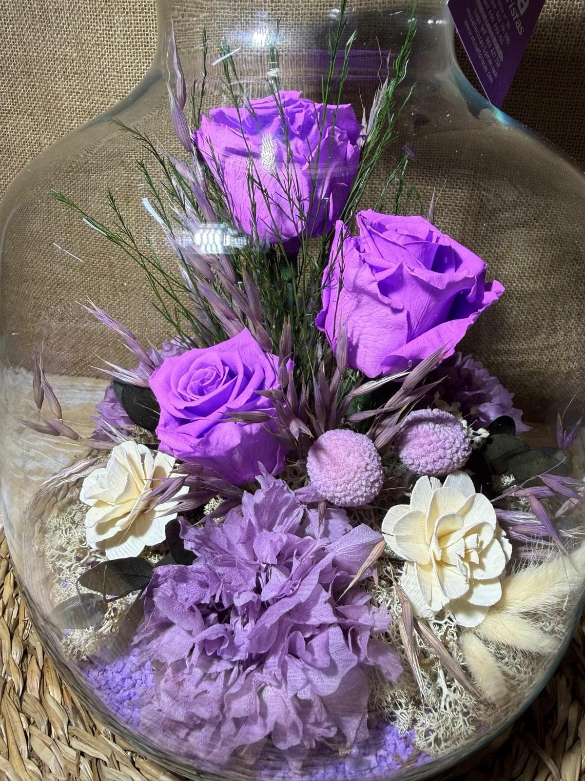 Terrarium en tonos lilas - Imagen 2