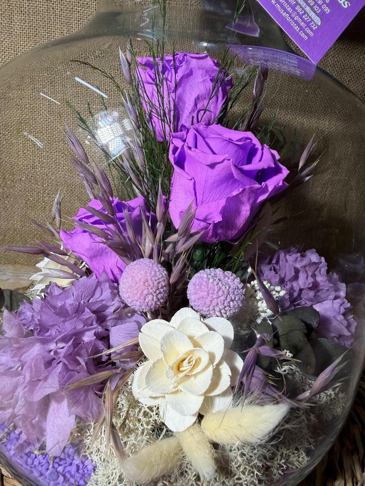 Terrarium en tonos lilas - Imagen 4