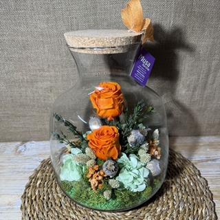 Terrarium en tonos naranja - Imagen 2