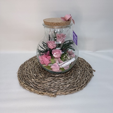 Terrarium en tonos rosa - Imagen 2