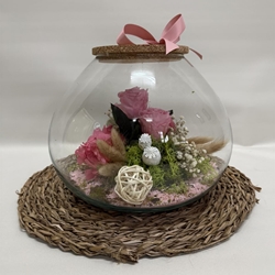 Terrarium inside en tono rosa - Imagen 1