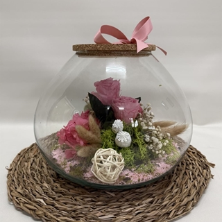 Terrarium inside en tono rosa - Imagen 2