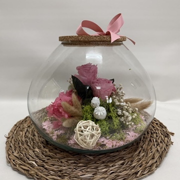 Terrarium inside en tono rosa - Imagen 2