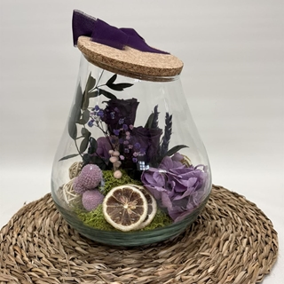 Terrarium kumbolo en tonos morados - Imagen 1