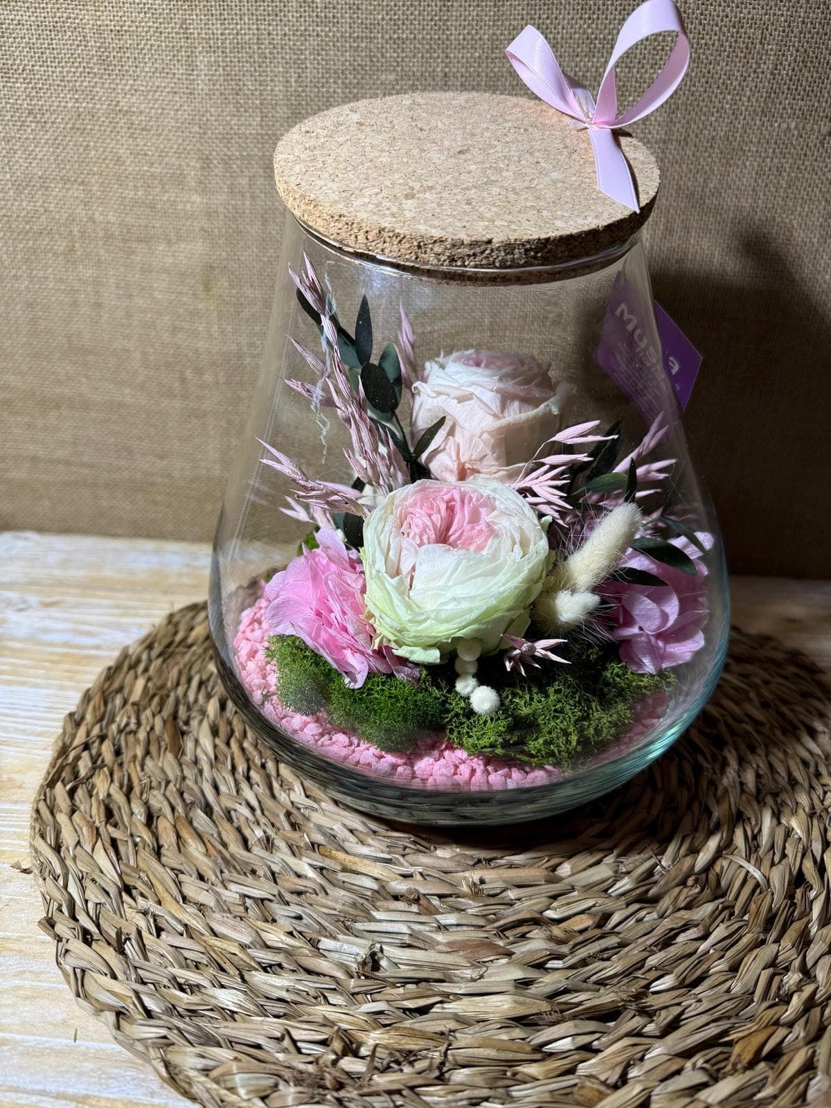 Terrarium kumbolo - Imagen 1