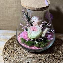 Terrarium kumbolo - Imagen 1