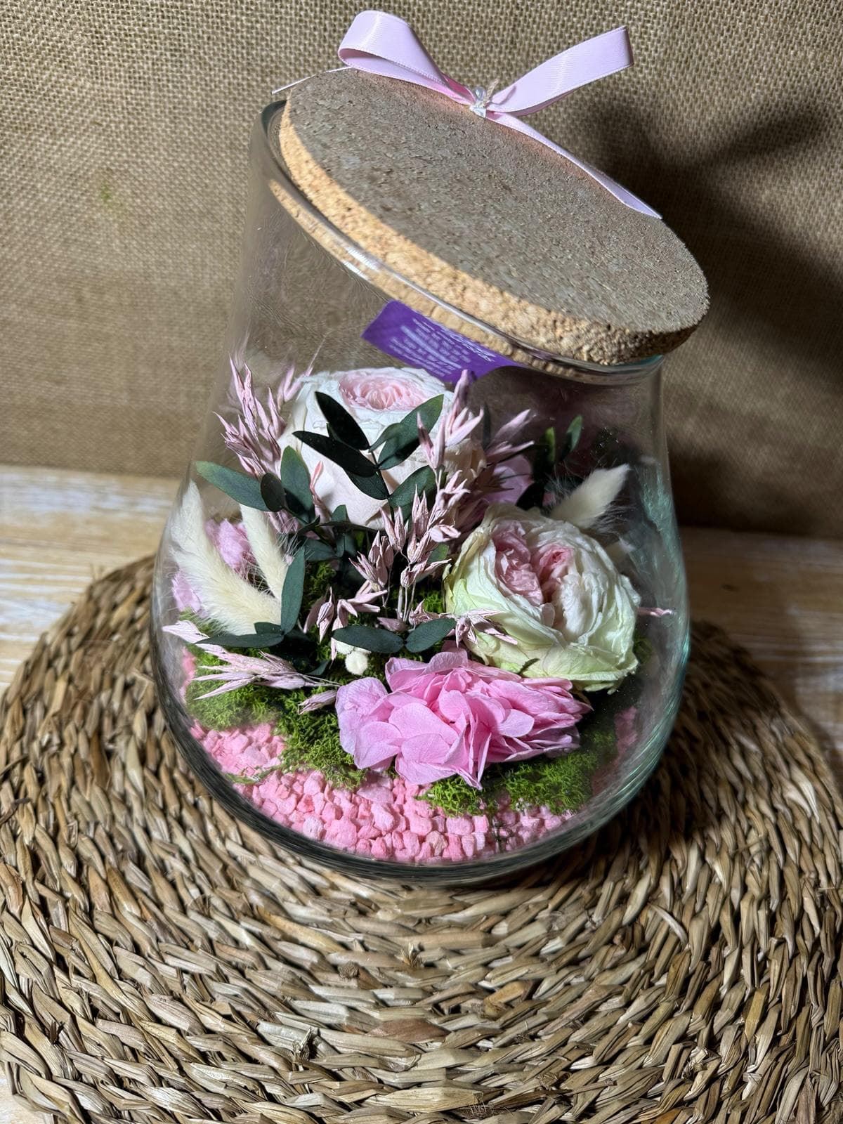 Terrarium kumbolo - Imagen 3