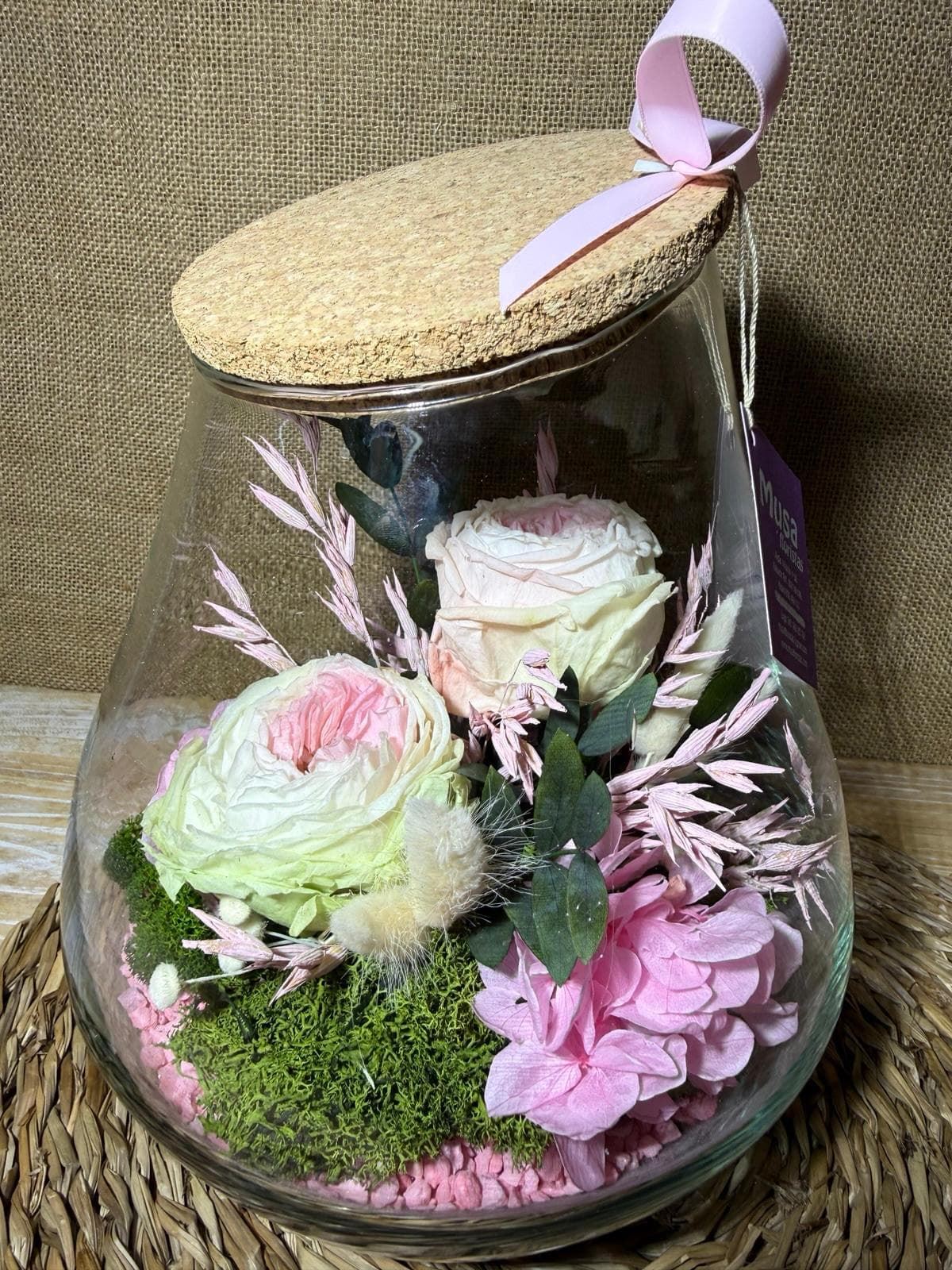 Terrarium kumbolo - Imagen 5