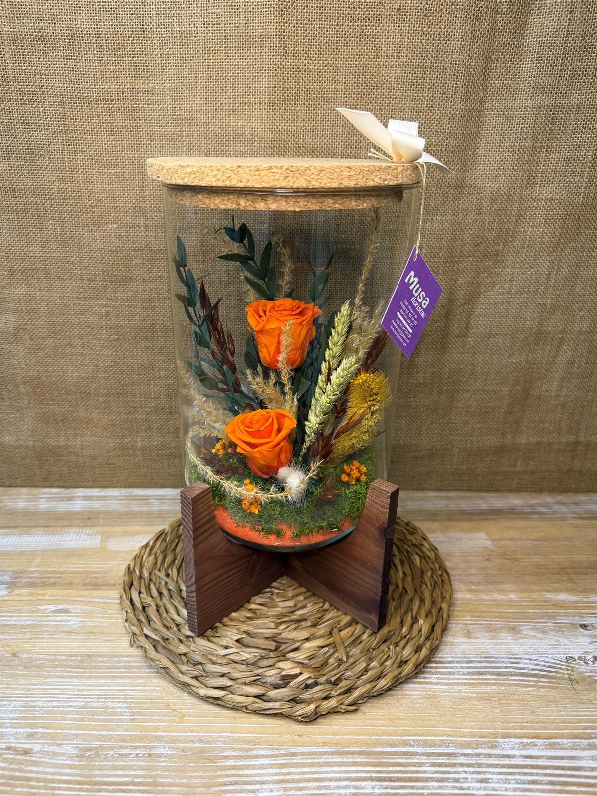 Terrarium orfeo naranja - Imagen 1
