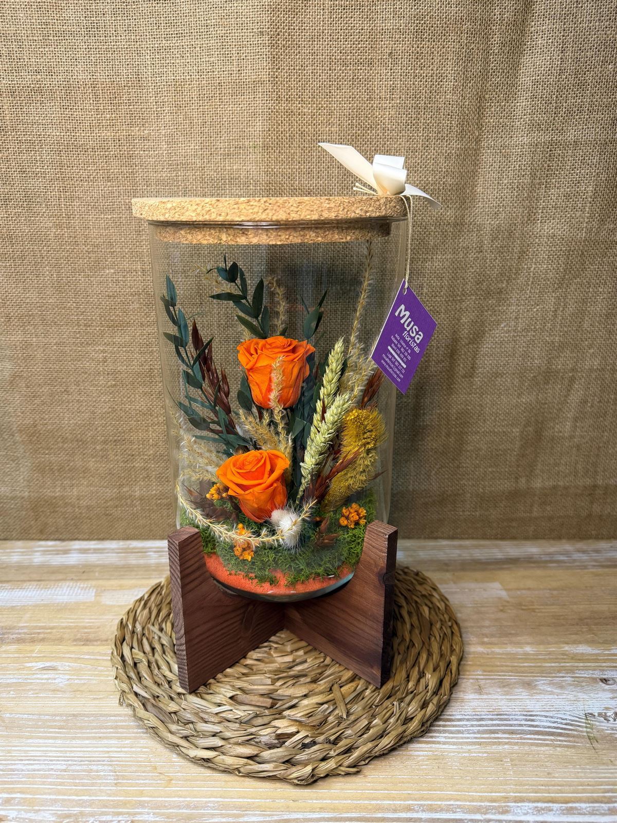 Terrarium orfeo naranja - Imagen 2