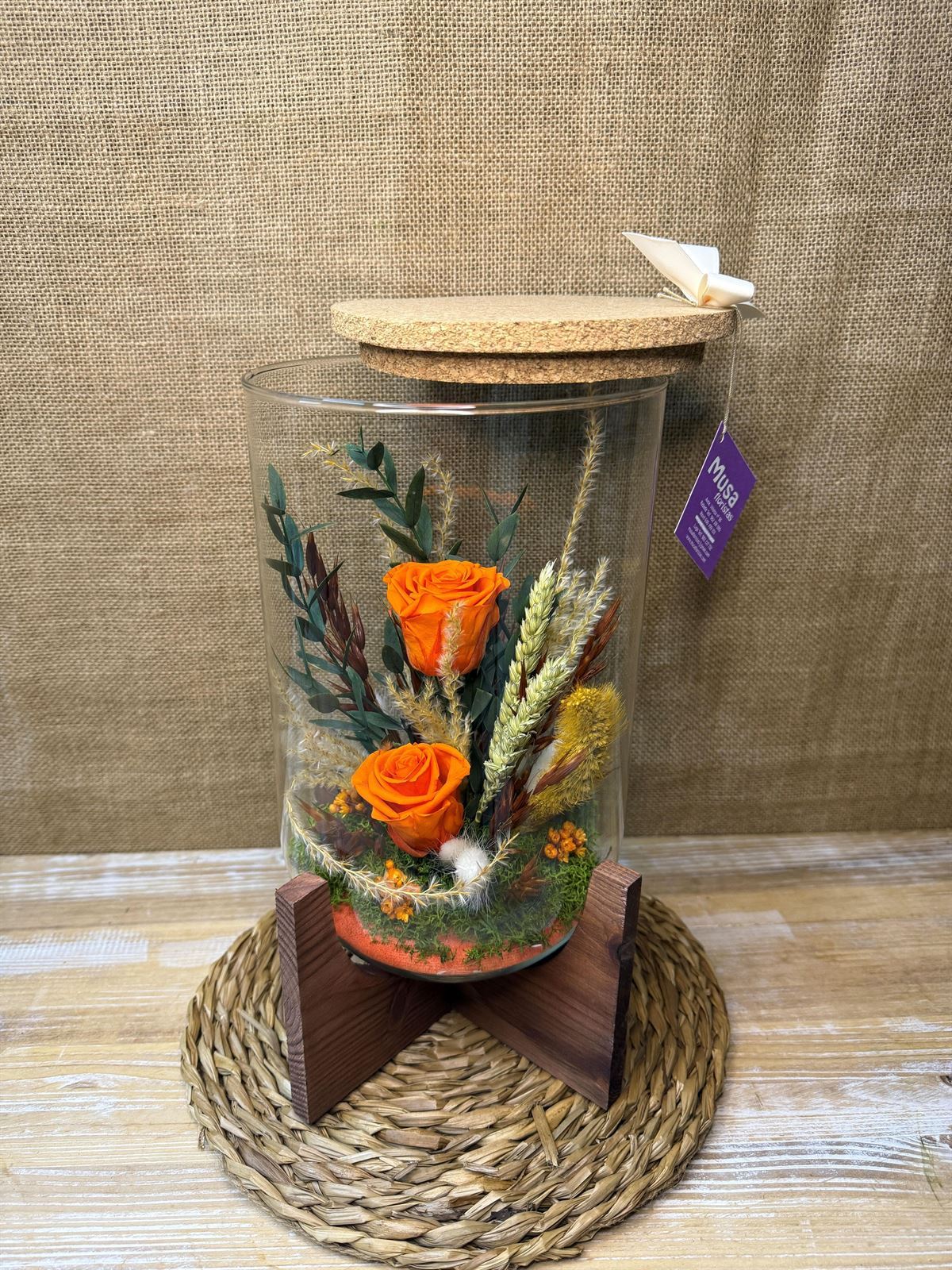 Terrarium orfeo naranja - Imagen 4
