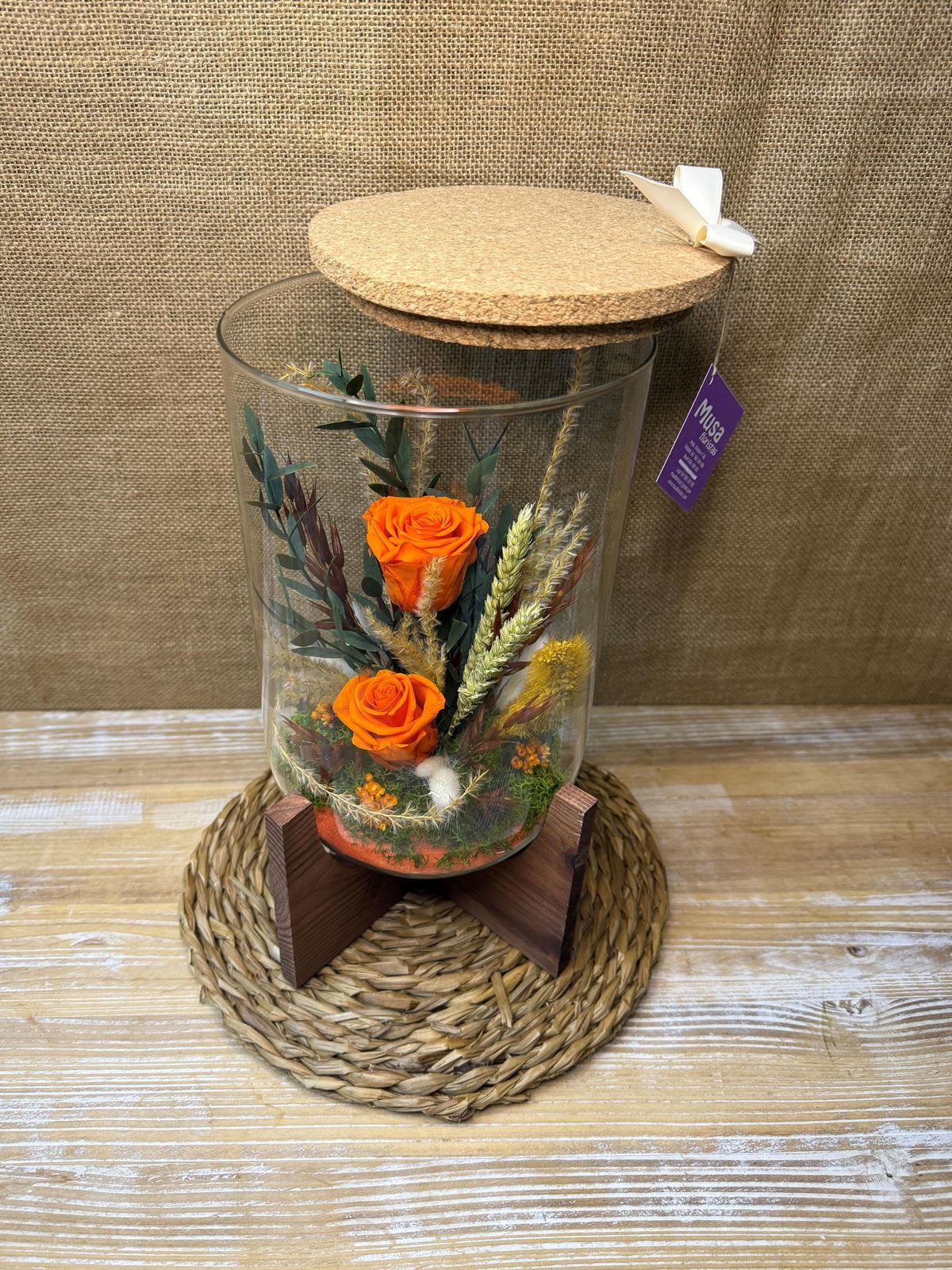 Terrarium orfeo naranja - Imagen 5