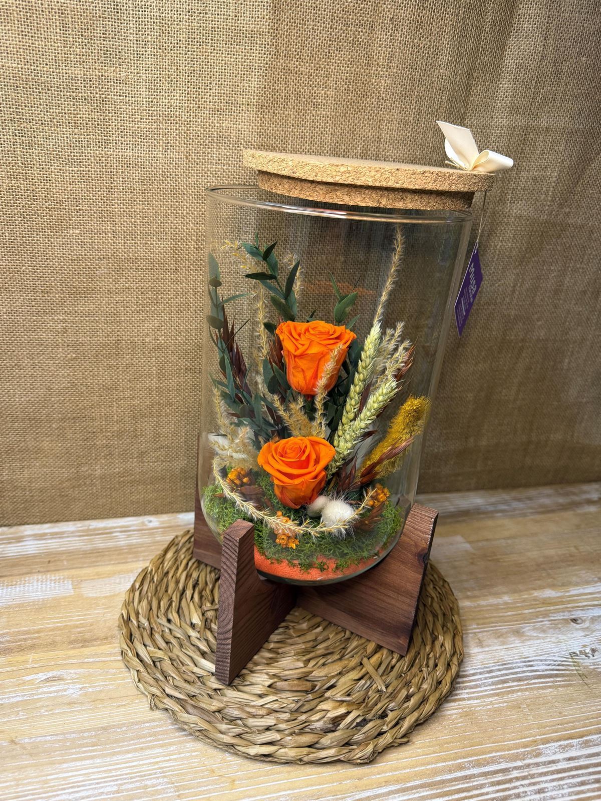 Terrarium orfeo naranja - Imagen 6
