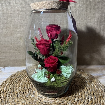 Terrarium rojo - Imagen 1