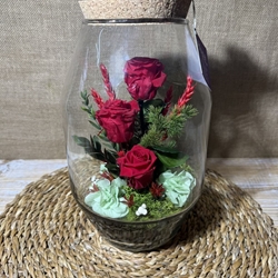 Terrarium rojo - Imagen 2