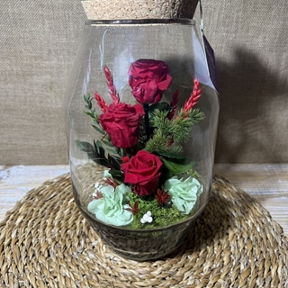 Terrarium rojo - Imagen 2