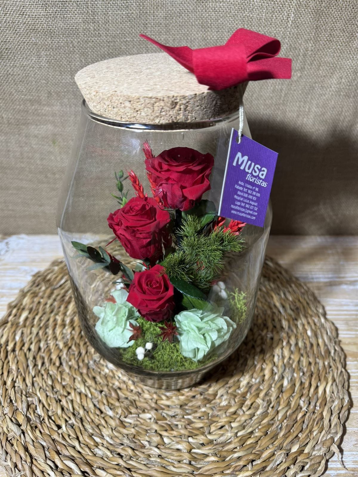 Terrarium rojo - Imagen 4