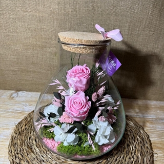 Terrarium tony en tonos rosa - Imagen 1