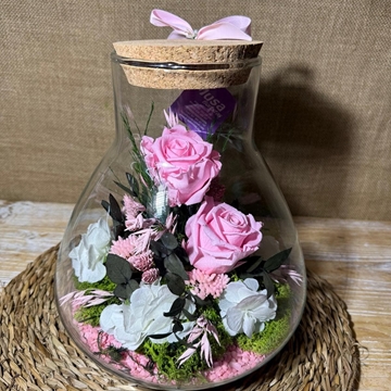 Terrarium tony en tonos rosa - Imagen 2