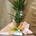 Yucca - Imagen 2